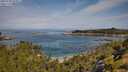 ./images/calvert/foggy-cove/20250728/foggy-cove20250728_103012M.jpg