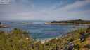 ./images/calvert/foggy-cove/20250728/foggy-cove20250728_103509M.jpg