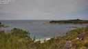 ./images/calvert/foggy-cove/20250728/foggy-cove20250728_114509M.jpg
