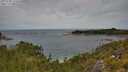 ./images/calvert/foggy-cove/20250728/foggy-cove20250728_123510M.jpg