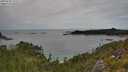 ./images/calvert/foggy-cove/20250728/foggy-cove20250728_131511M.jpg