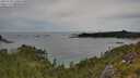 ./images/calvert/foggy-cove/20250728/foggy-cove20250728_140010M.jpg