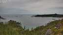 ./images/calvert/foggy-cove/20250728/foggy-cove20250728_140507M.jpg