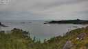 ./images/calvert/foggy-cove/20250728/foggy-cove20250728_141009M.jpg
