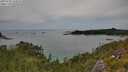 ./images/calvert/foggy-cove/20250728/foggy-cove20250728_144510M.jpg