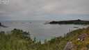 ./images/calvert/foggy-cove/20250728/foggy-cove20250728_150509M.jpg
