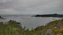 ./images/calvert/foggy-cove/20250728/foggy-cove20250728_160010M.jpg