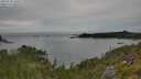./images/calvert/foggy-cove/20250728/foggy-cove20250728_160509M.jpg