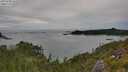 ./images/calvert/foggy-cove/20250728/foggy-cove20250728_163510M.jpg