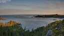 ./images/calvert/foggy-cove/20250729/foggy-cove20250729_063008M.jpg