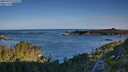 ./images/calvert/foggy-cove/20250729/foggy-cove20250729_072510M.jpg