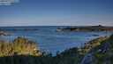 ./images/calvert/foggy-cove/20250729/foggy-cove20250729_073010M.jpg