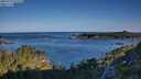 ./images/calvert/foggy-cove/20250729/foggy-cove20250729_074510M.jpg