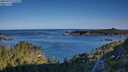 ./images/calvert/foggy-cove/20250729/foggy-cove20250729_075008M.jpg