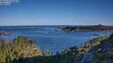 ./images/calvert/foggy-cove/20250729/foggy-cove20250729_080011M.jpg