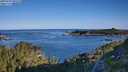 ./images/calvert/foggy-cove/20250729/foggy-cove20250729_080510M.jpg