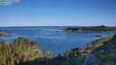 ./images/calvert/foggy-cove/20250729/foggy-cove20250729_081009M.jpg