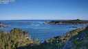 ./images/calvert/foggy-cove/20250729/foggy-cove20250729_081508M.jpg