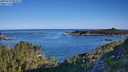 ./images/calvert/foggy-cove/20250729/foggy-cove20250729_082011M.jpg