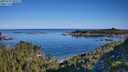 ./images/calvert/foggy-cove/20250729/foggy-cove20250729_085509M.jpg