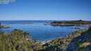 ./images/calvert/foggy-cove/20250729/foggy-cove20250729_091010M.jpg