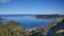 ./images/calvert/foggy-cove/20250729/foggy-cove20250729_091510M.jpg