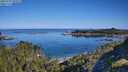 ./images/calvert/foggy-cove/20250729/foggy-cove20250729_092009M.jpg