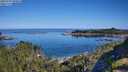 ./images/calvert/foggy-cove/20250729/foggy-cove20250729_094010M.jpg
