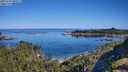 ./images/calvert/foggy-cove/20250729/foggy-cove20250729_094507M.jpg