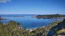 ./images/calvert/foggy-cove/20250729/foggy-cove20250729_095009M.jpg