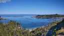 ./images/calvert/foggy-cove/20250729/foggy-cove20250729_095508M.jpg