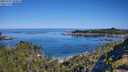 ./images/calvert/foggy-cove/20250729/foggy-cove20250729_100010M.jpg