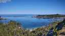 ./images/calvert/foggy-cove/20250729/foggy-cove20250729_100509M.jpg