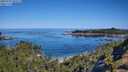 ./images/calvert/foggy-cove/20250729/foggy-cove20250729_101511M.jpg