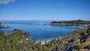 ./images/calvert/foggy-cove/20250729/foggy-cove20250729_103508M.jpg