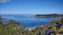 ./images/calvert/foggy-cove/20250729/foggy-cove20250729_104009M.jpg