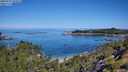 ./images/calvert/foggy-cove/20250729/foggy-cove20250729_105008M.jpg