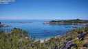 ./images/calvert/foggy-cove/20250729/foggy-cove20250729_110010M.jpg