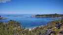 ./images/calvert/foggy-cove/20250729/foggy-cove20250729_111010M.jpg