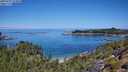 ./images/calvert/foggy-cove/20250729/foggy-cove20250729_114010M.jpg