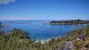 ./images/calvert/foggy-cove/20250729/foggy-cove20250729_122011M.jpg