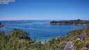 ./images/calvert/foggy-cove/20250729/foggy-cove20250729_132509M.jpg