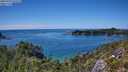 ./images/calvert/foggy-cove/20250729/foggy-cove20250729_145510M.jpg