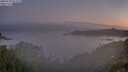 ./images/calvert/foggy-cove/20250730/foggy-cove20250730_053508M.jpg