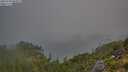 ./images/calvert/foggy-cove/20250730/foggy-cove20250730_065011M.jpg