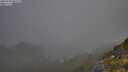 ./images/calvert/foggy-cove/20250730/foggy-cove20250730_065508M.jpg