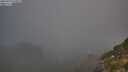 ./images/calvert/foggy-cove/20250730/foggy-cove20250730_070009M.jpg