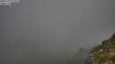 ./images/calvert/foggy-cove/20250730/foggy-cove20250730_070510M.jpg