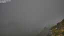 ./images/calvert/foggy-cove/20250730/foggy-cove20250730_071009M.jpg