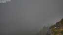 ./images/calvert/foggy-cove/20250730/foggy-cove20250730_071509M.jpg